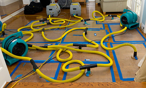 Professional Water Extraction technician working in Shenandoah, VA